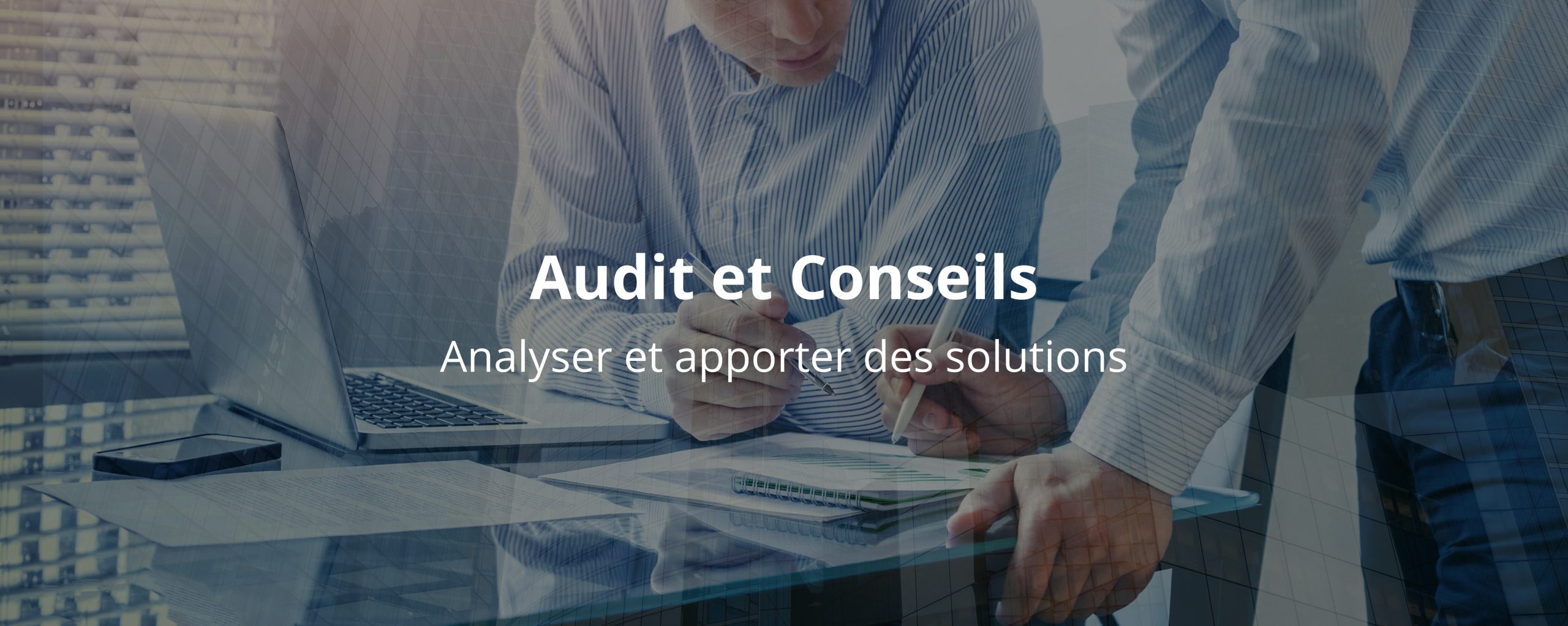 Audit & conseils